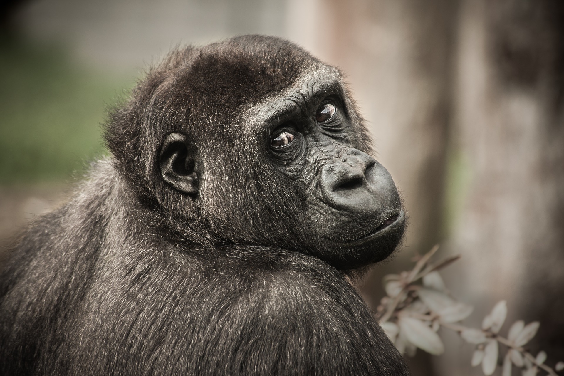 New fieldwork/research coordinator Chimbo