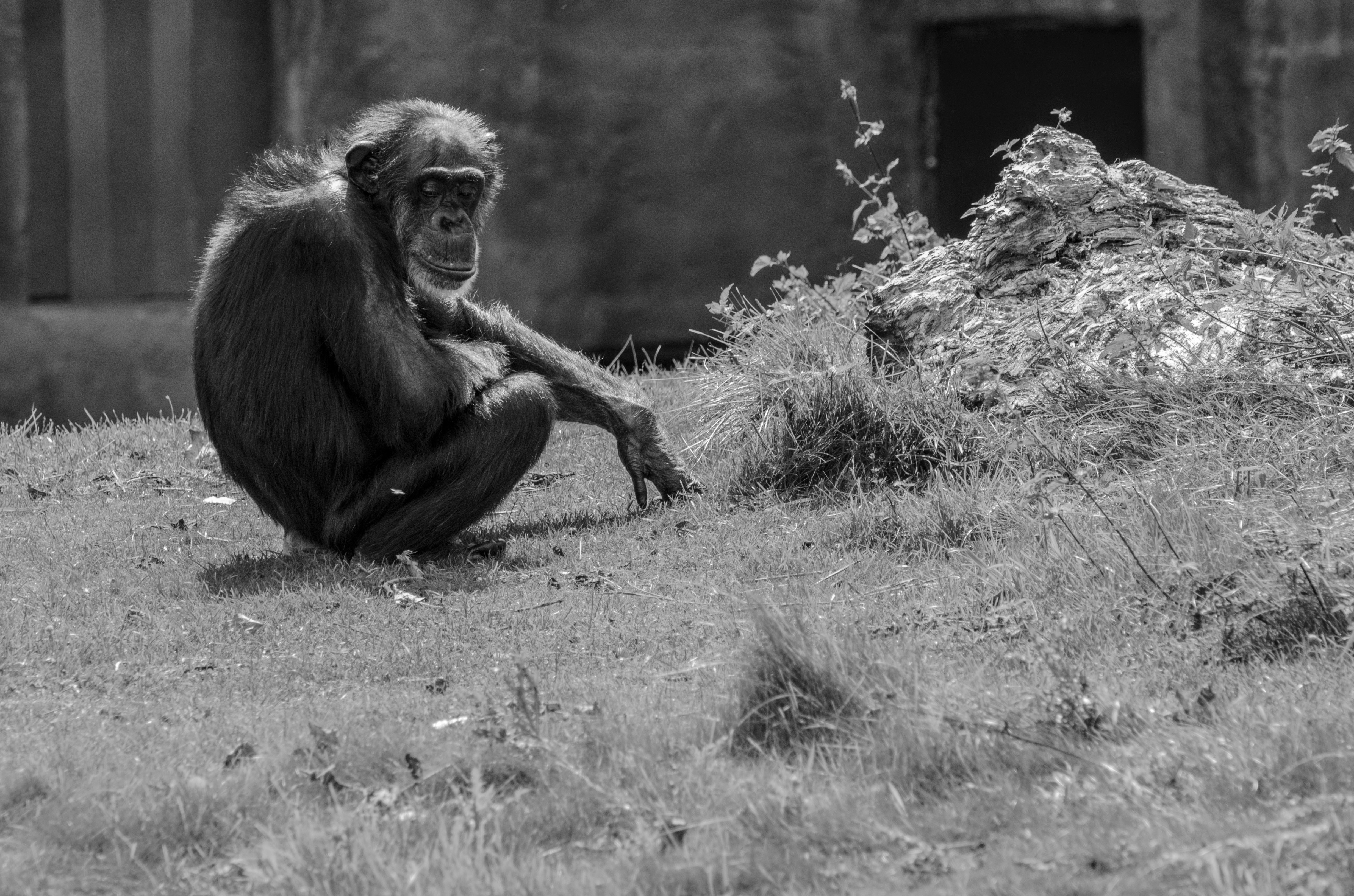 In BoÃ©  (Guinea Bissau) people believe in the spirits of the forest: this protects the environment